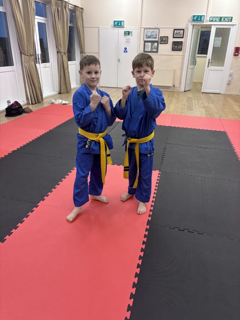 Two Boys in blue karate suits
